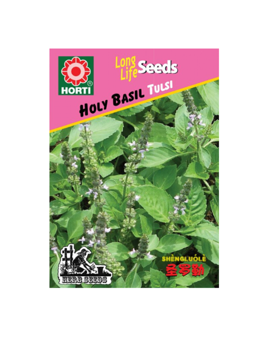 Holy Basil Tulsi Seeds By HORTI